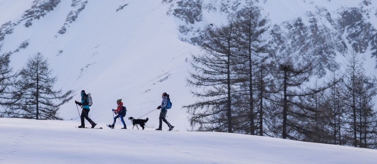 ciasolata famiglia.JPG